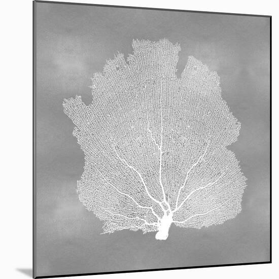 Sea Fan on Silver III-Melonie Miller-Mounted Art Print