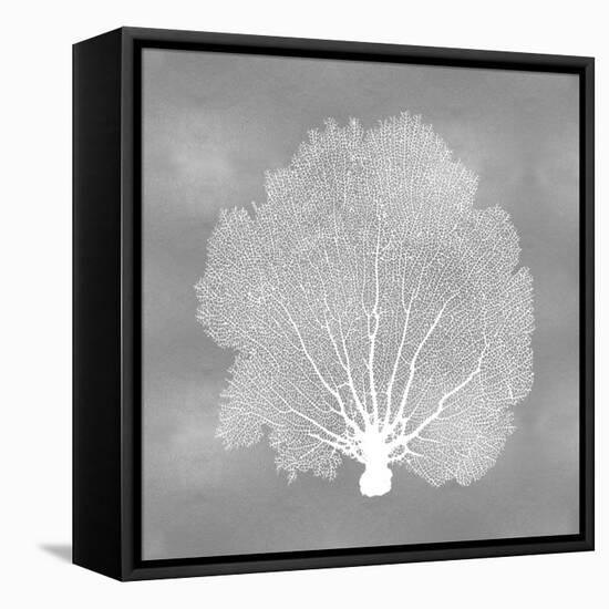 Sea Fan on Silver IV-Melonie Miller-Framed Stretched Canvas