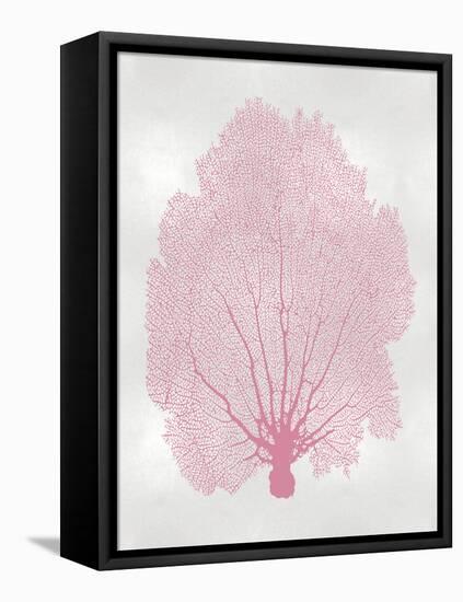 Sea Fan Pink Blush II-Melonie Miller-Framed Stretched Canvas