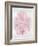 Sea Fan Pink Blush II-Melonie Miller-Framed Art Print