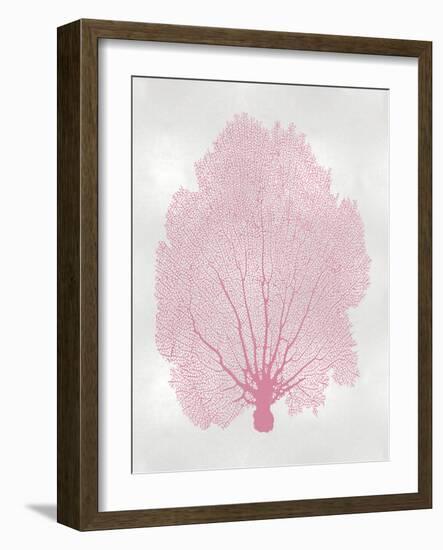 Sea Fan Pink Blush II-Melonie Miller-Framed Art Print