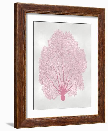 Sea Fan Pink Blush II-Melonie Miller-Framed Art Print