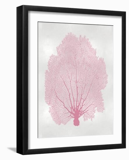 Sea Fan Pink Blush II-Melonie Miller-Framed Art Print