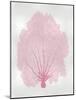 Sea Fan Pink Blush II-Melonie Miller-Mounted Art Print