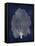 Sea Fan Silver on Blue II-Melonie Miller-Framed Stretched Canvas