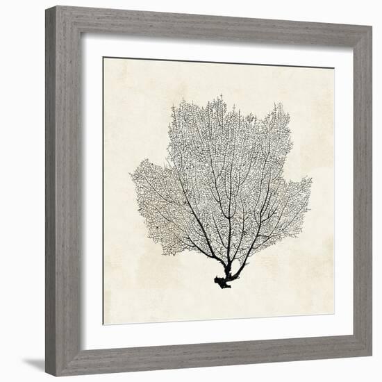 Sea Fan Sketch I-Grace Popp-Framed Art Print