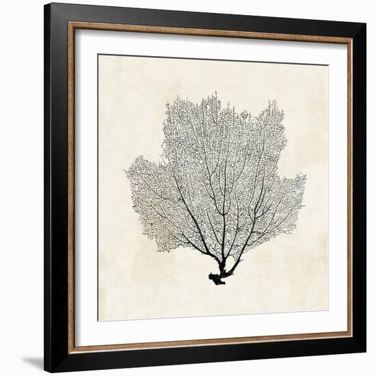 Sea Fan Sketch I-Grace Popp-Framed Art Print