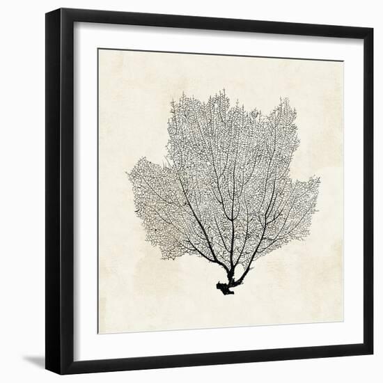 Sea Fan Sketch I-Grace Popp-Framed Art Print