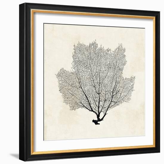 Sea Fan Sketch I-Grace Popp-Framed Art Print