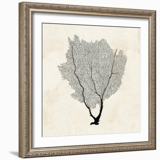 Sea Fan Sketch II-Grace Popp-Framed Art Print