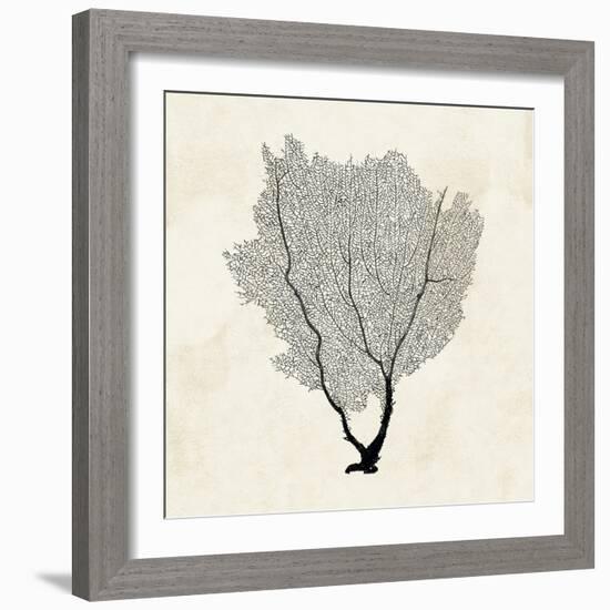 Sea Fan Sketch II-Grace Popp-Framed Art Print