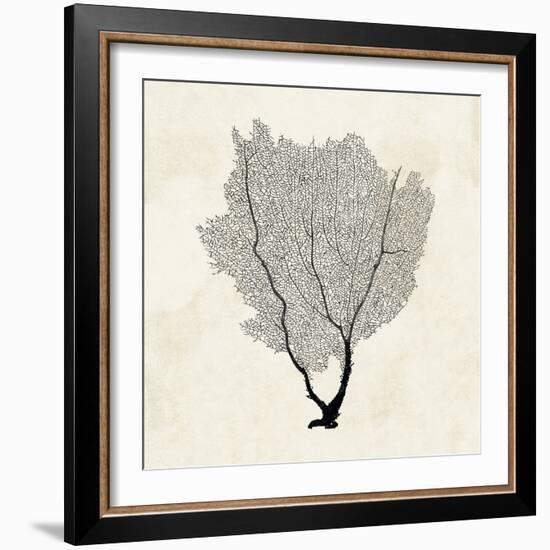 Sea Fan Sketch II-Grace Popp-Framed Art Print