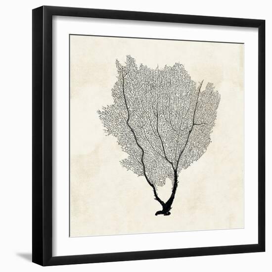 Sea Fan Sketch II-Grace Popp-Framed Art Print