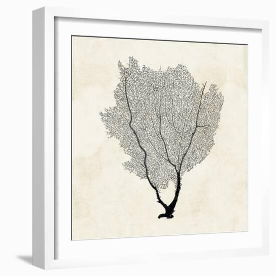 Sea Fan Sketch II-Grace Popp-Framed Art Print