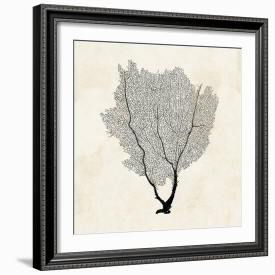 Sea Fan Sketch II-Grace Popp-Framed Art Print