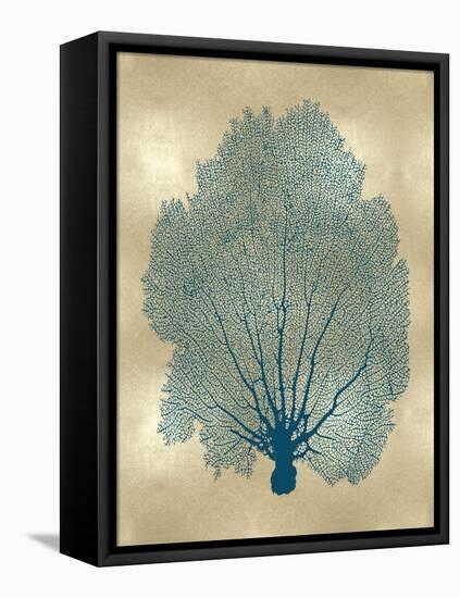 Sea Fan Teal on Gold II-Melonie Miller-Framed Stretched Canvas