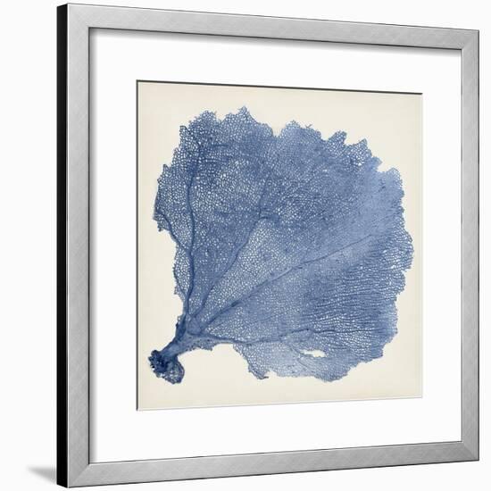 Sea Fan V-Vision Studio-Framed Premium Giclee Print