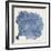 Sea Fan V-Vision Studio-Framed Premium Giclee Print