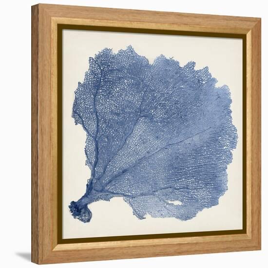 Sea Fan V-Vision Studio-Framed Stretched Canvas