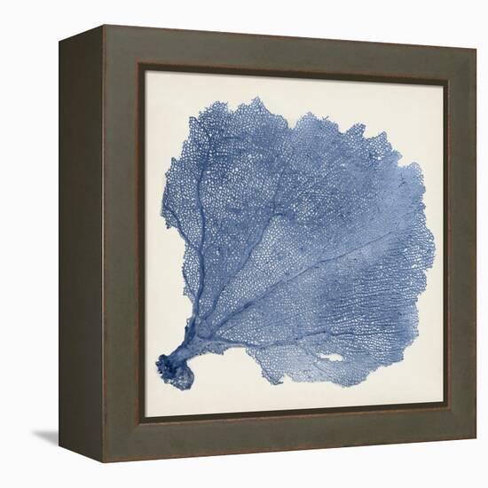 Sea Fan V-Vision Studio-Framed Stretched Canvas