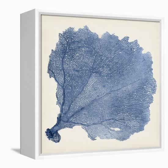 Sea Fan V-Vision Studio-Framed Stretched Canvas