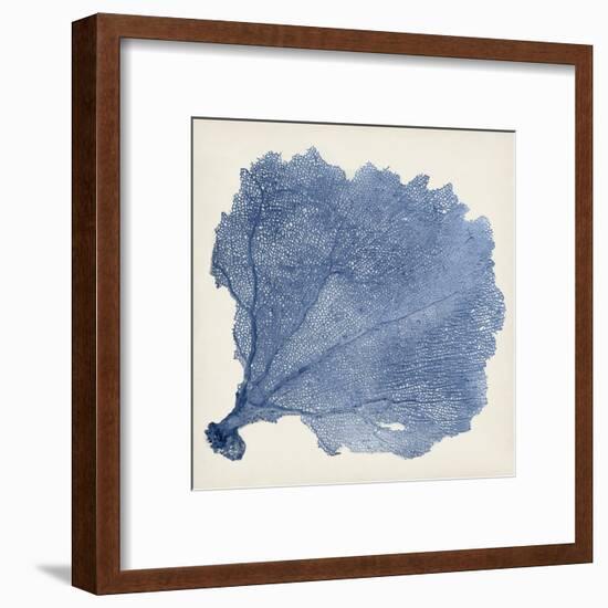 Sea Fan V-Vision Studio-Framed Art Print