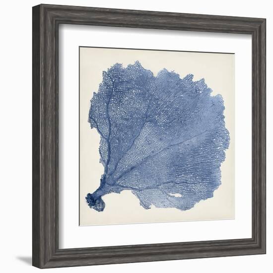 Sea Fan V-Vision Studio-Framed Art Print