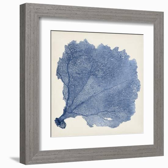 Sea Fan V-Vision Studio-Framed Art Print