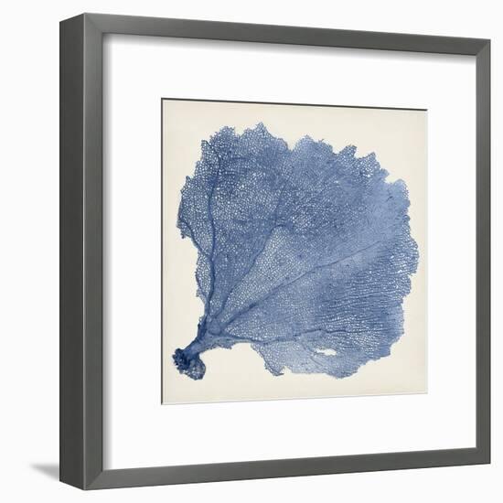 Sea Fan V-Vision Studio-Framed Art Print