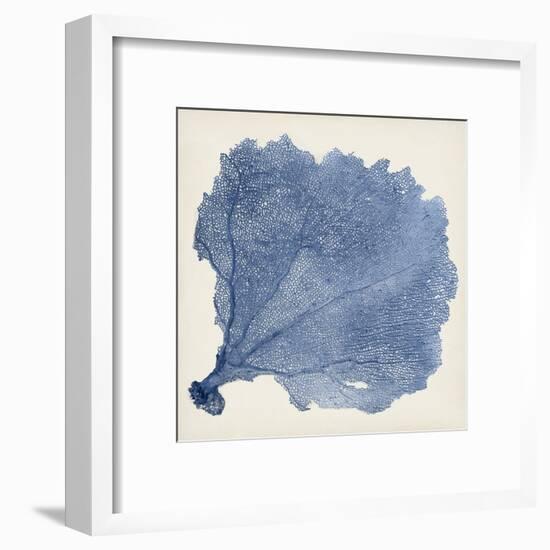 Sea Fan V-Vision Studio-Framed Art Print