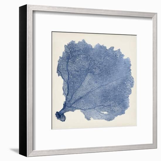 Sea Fan V-Vision Studio-Framed Art Print