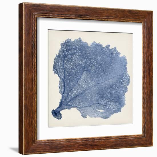 Sea Fan V-Vision Studio-Framed Art Print