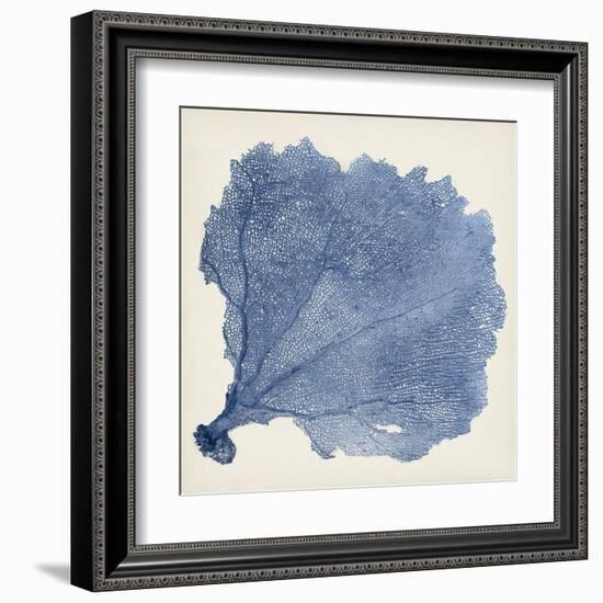 Sea Fan V-Vision Studio-Framed Art Print