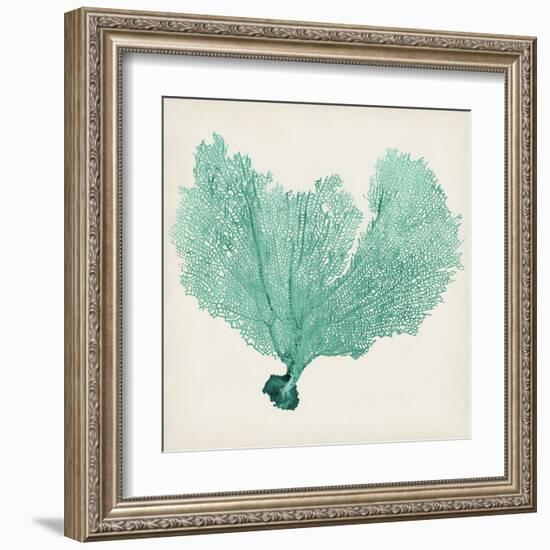 Sea Fan VI-Vision Studio-Framed Art Print