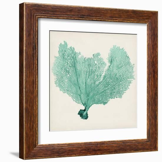 Sea Fan VI-Vision Studio-Framed Art Print