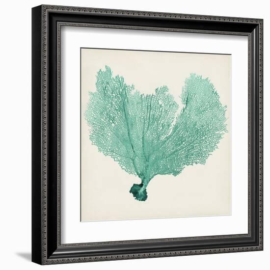 Sea Fan VI-Vision Studio-Framed Art Print