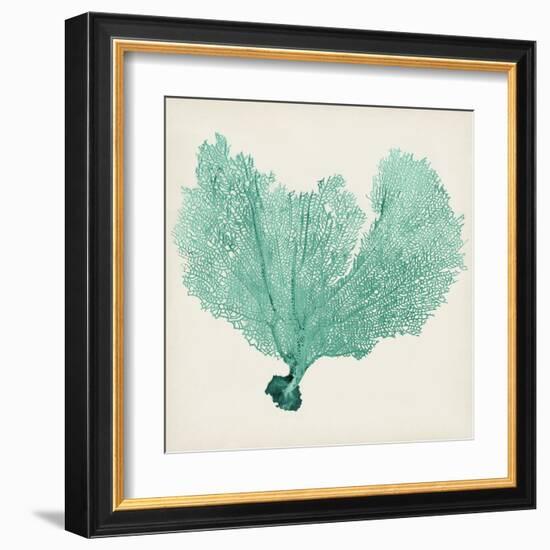 Sea Fan VI-Vision Studio-Framed Art Print