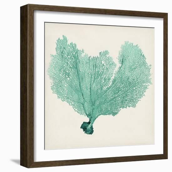 Sea Fan VI-Vision Studio-Framed Art Print