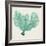 Sea Fan VI-Vision Studio-Framed Art Print