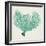 Sea Fan VI-Vision Studio-Framed Art Print