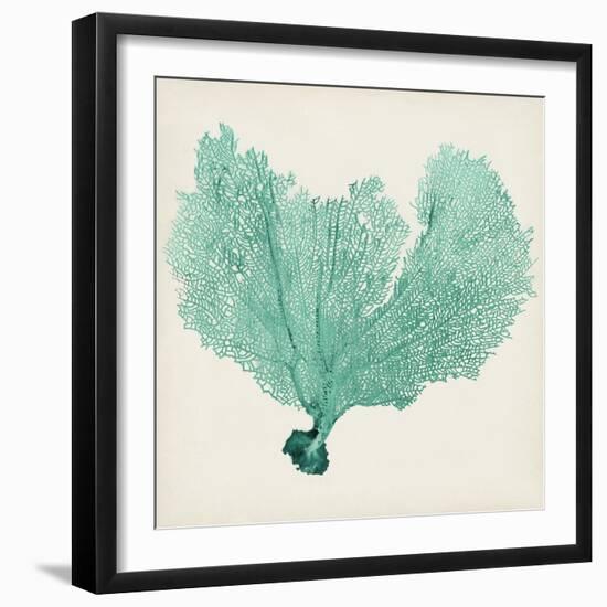 Sea Fan VI-Vision Studio-Framed Art Print