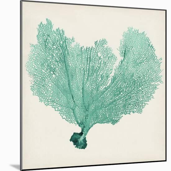 Sea Fan VI-Vision Studio-Mounted Art Print