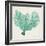 Sea Fan VI-Vision Studio-Framed Art Print