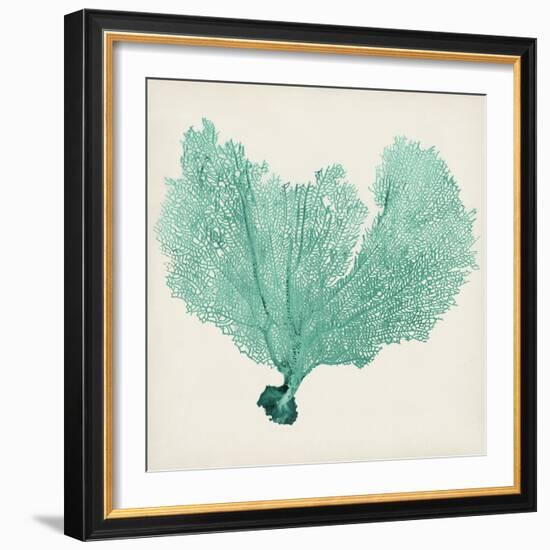 Sea Fan VI-Vision Studio-Framed Art Print