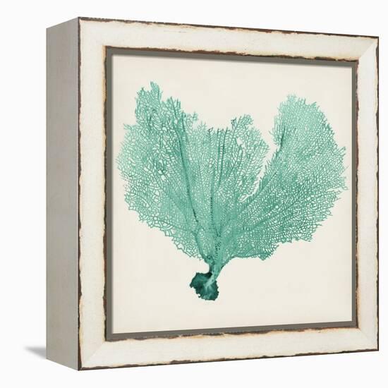 Sea Fan VI-Vision Studio-Framed Stretched Canvas