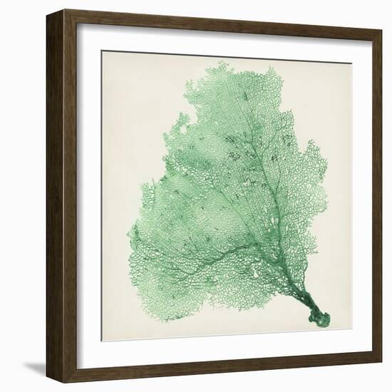 Sea Fan VII-Vision Studio-Framed Premium Giclee Print