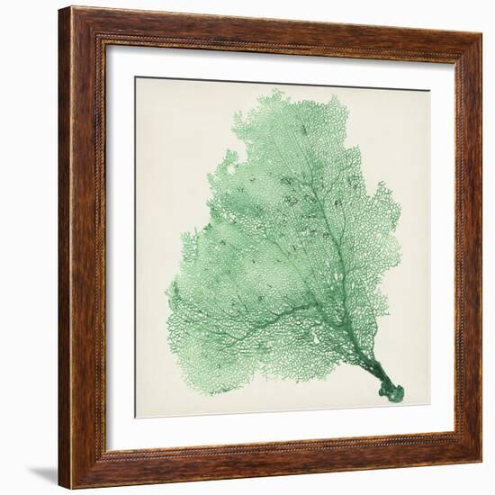 Sea Fan VII-Vision Studio-Framed Premium Giclee Print