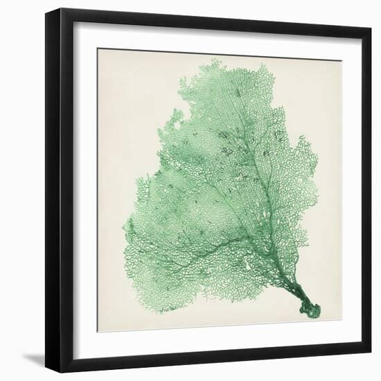 Sea Fan VII-Vision Studio-Framed Premium Giclee Print