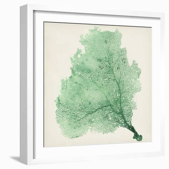 Sea Fan VII-Vision Studio-Framed Premium Giclee Print