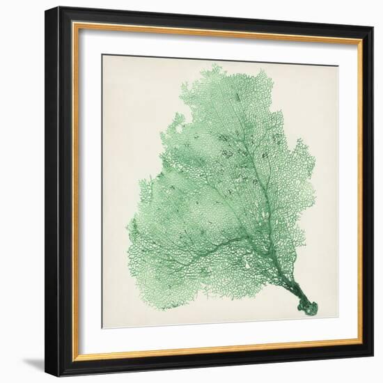 Sea Fan VII-Vision Studio-Framed Premium Giclee Print